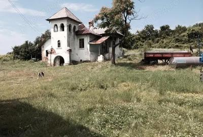 Teren de 53000 mp, în Călinești - 8