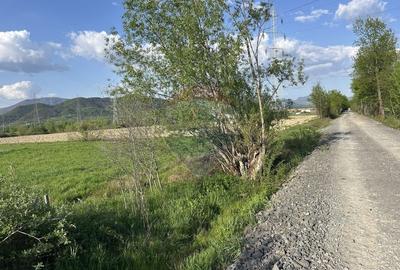 Teren 4,824mp Baia Mare / Strada Sebesului - 4