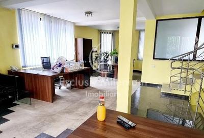 Vila Baneasa / Sisesti - Birouri +Curte Parcare - 6