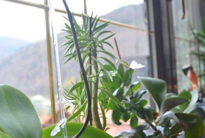 Spațiu comercial, de 1,215 mp, în Ultracentral - 8