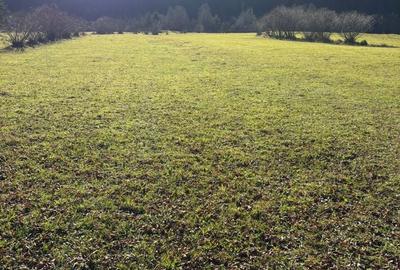 Spațiu comercial, în Vatra Moldoviței - 7