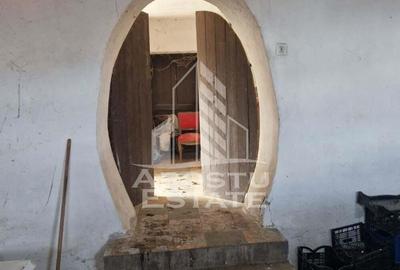 Casa individuala cu 3 camere ,teren 4222 mp in exclusivitate Dorobanti - 8