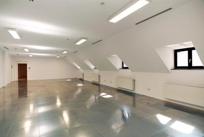 Casă cu 14 camere în Grădina Icoanei