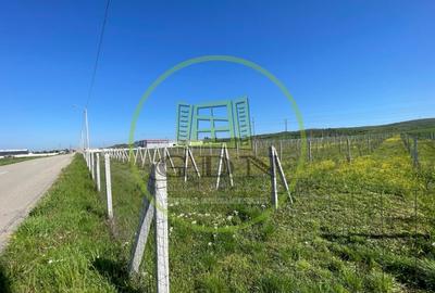 Teren agricol intravilan de 6215 mp, în Răcarii de Jos - 2