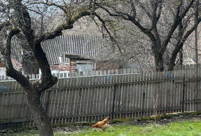 Spațiu comercial, în Nămăești - 14