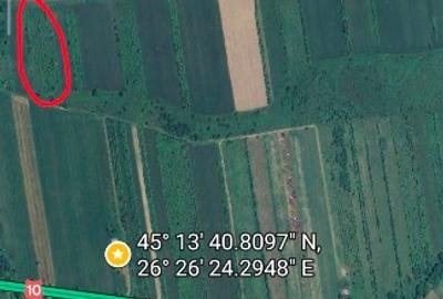 Teren extravilan 4000mp Viperesti - 2