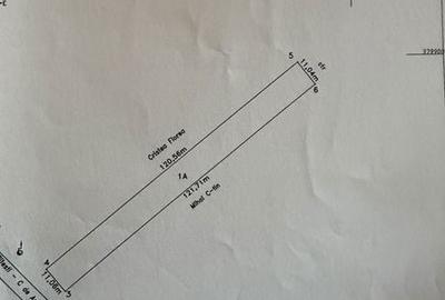 Teren de 1336 mp, în Bascov