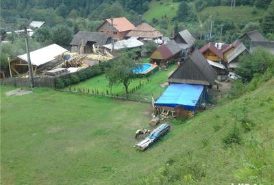 Casă cu 4 camere cu Teren 2000 Mp în Vale - 7