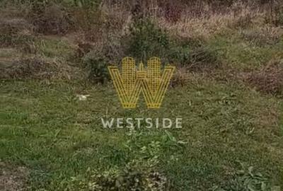 Spațiu comercial, în Ghiroda