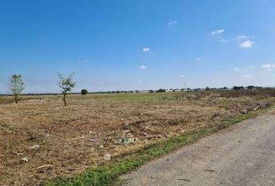 Teren de 1000 mp, în Copăceni - 8