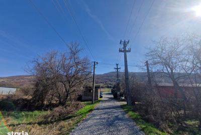 Teren de 3664 mp, în Ghioroc - 6