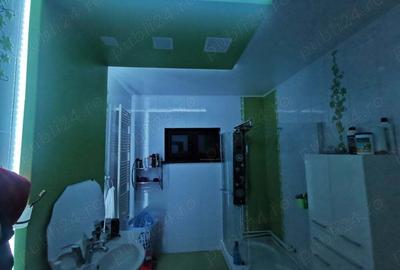 URGENT Casa +HALA panouri sandwici - 4