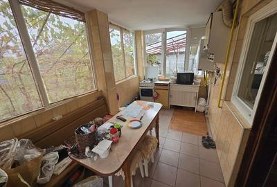 Magurele/Darasti-Ilfov/Vila individula cu crama,garaj,foisor,livada si solar - 12