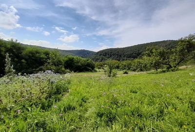 Spațiu comercial, în Cozia - 1