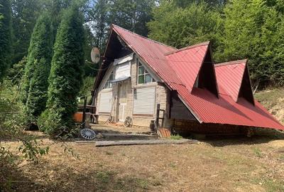 Casă cu 3 camere în Mădrigești - 2