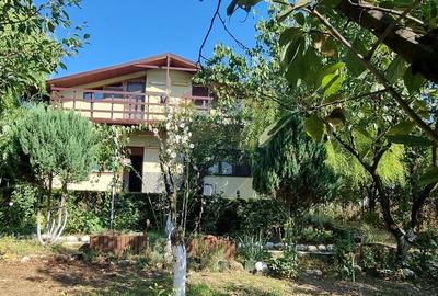 Casa de vacanta / Vila de vanzare Lilieci, Ialomita - 10