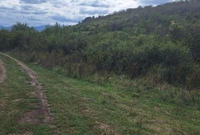 Teren extravilan 700mp in Gusterita. - 3