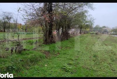 Teren de 3000 mp, în Conțești - 6