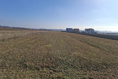 Spațiu comercial, în Central - 6