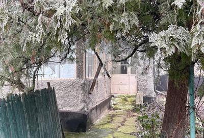 Casă cu 3 camere în Săhăteni - 1