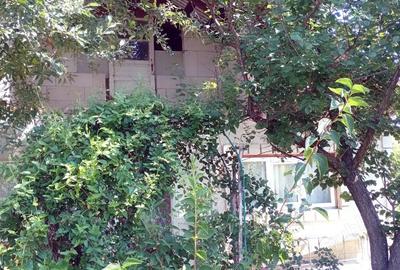 Vand casa in sat Goruni,com Tomesti,jud Iasi - 9