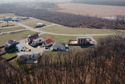 Teren de vanzare Dumbrava Vlasiei- Situat la marginea padurii mature Teren de vanzare Dumbrava Vlasiei- Situat la marginea padurii mature - 9