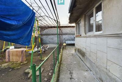 Casa modesta, 2500 mp teren, Domnesti - 10