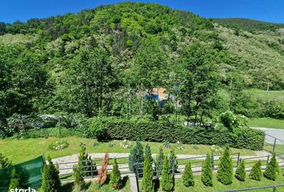 Casă cu 3 camere cu Teren 2000 Mp în Gura Râului - 3