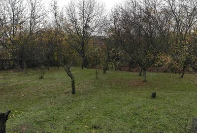Teren de 1645 mp, în Central - 5