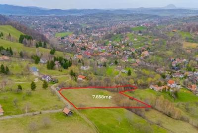 Teren de 7658 mp, în Bran - 4