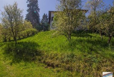 Resedinta distinctiva, pe domeniu de 2.200mp,cadru exclusivist, Central, Brasov - 10