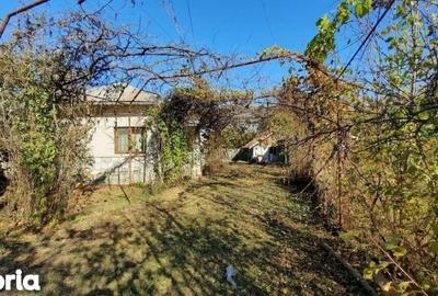 Casă cu 4 camere cu Teren 7720 Mp în Șirna - 9