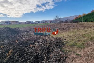 Teren Intravilan de Vanzare in Alba Micesti  Oportunitate Unica! - 2