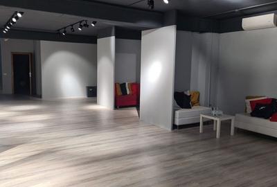 Spatiu comercial Showroom Otopeni DN 1 stradal - 3