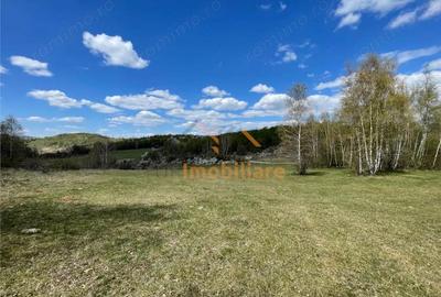 Teren de 103000 mp, în Bălnaca - 8
