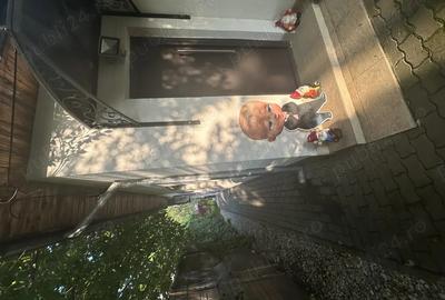 Casa de vanzare in centrul orasului! 700 mp - 5