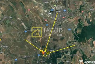 Teren de 8333 mp, în Secu - 6
