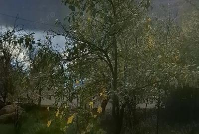 Vand teren intravilan la svinita cu vedere la dunare - 1