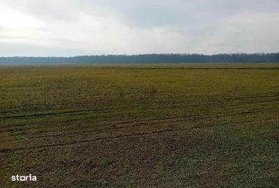 Spațiu comercial, în Ciobani - 2