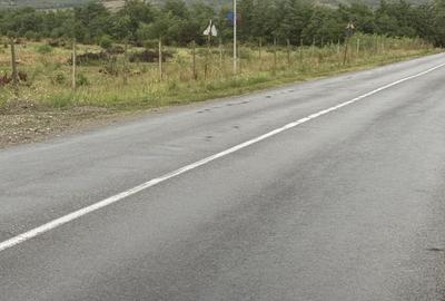 Teren Construcții intravilan de 500 mp, în Dumbrăvești - 3