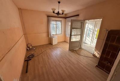 Casa cu 3 camere si 325 mp teren in Trei Stejari - 3