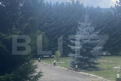 Vila in stil elve?ian Campulung Moldovenesc, 155 mp - 29