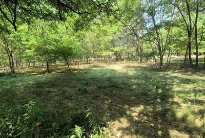 Proprietate in apropiere de complex turistic Mu?ete?ti - 7