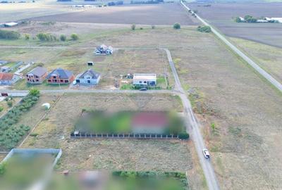 Teren 1000 m2 cartier San Paolo, Arad Teren 1000 m2 cartier San Paolo, Arad - 4