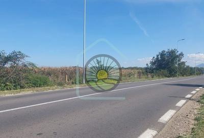 TEREN STUPINI BRASOV - 10