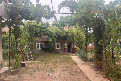 Casă cu 7 camere cu Teren 2023 Mp în Coșoveni - 12