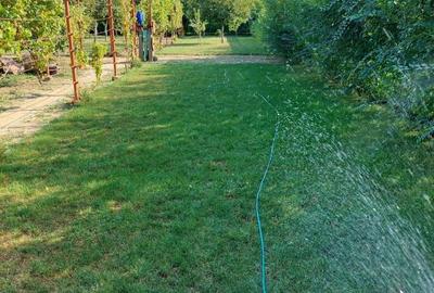 Casa de vanzare Oituz 59 - 7