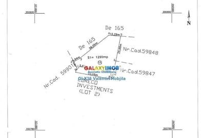 Vanzare teren 1290 mp cu proiect Balotesti Dumbrava Vlasiei padure - 9