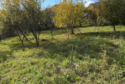 Teren de 1872 mp, în Cucuteni - 1
