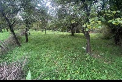 Spațiu comercial, în Dobrița - 4